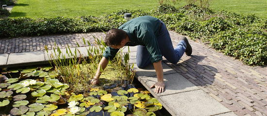 Lente Tuintrends - Vijver Onderhoud van Water Filter, Vissen en Waterplanten LEES MEER... (Foto Plant Publicity Holland op DroomHome.nl)