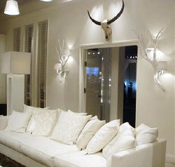 Eric Kuster Boek Metropolitan Luxury HIER BESTELLEN...Huis met Maretti 'Oak' Lampen op Miljonair Fair