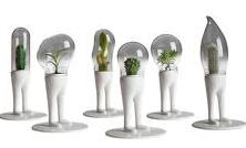 Domsai Design Plantenbakjes met Cactussen (DroomHome.nl)