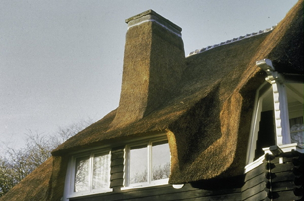 Voordelen en nadelen van een rieten dak op een woning. (Foto Rijksdienst voor het Cultureel Erfgoed  op DroomHome.nl)