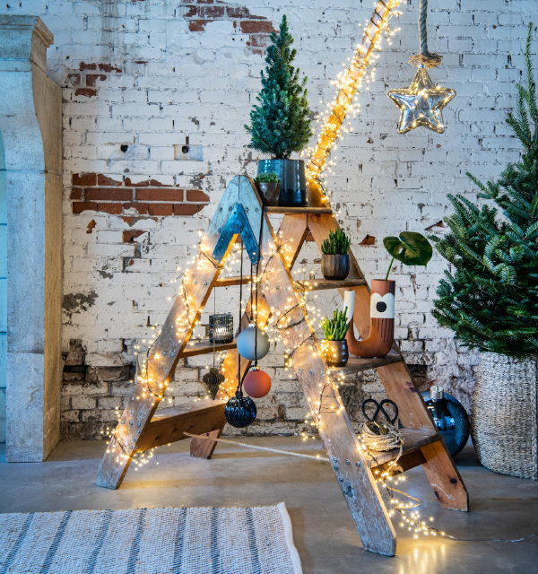 Kersttrends 2021 Intratuin – Alternatieve Intratuin kerstboom trap of ladder met planten, kerstverlichting en Intratuin kerstballen (Foto Intratuin  op DroomHome.nl)