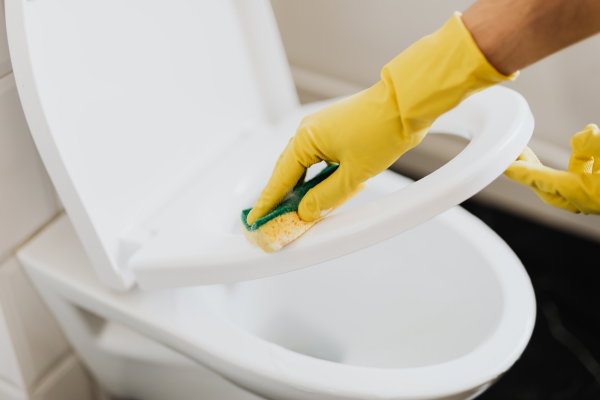 Badkamer schoonmaken tips: toilet (Foto Karolina Grabowska, Pexels.com  op DroomHome.nl)