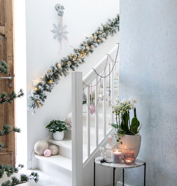 Kersttrends 2021 Intratuin – Intratuin kerstplanten: Tillandsia en Blauwe Ceder  (Foto Intratuin  op DroomHome.nl)