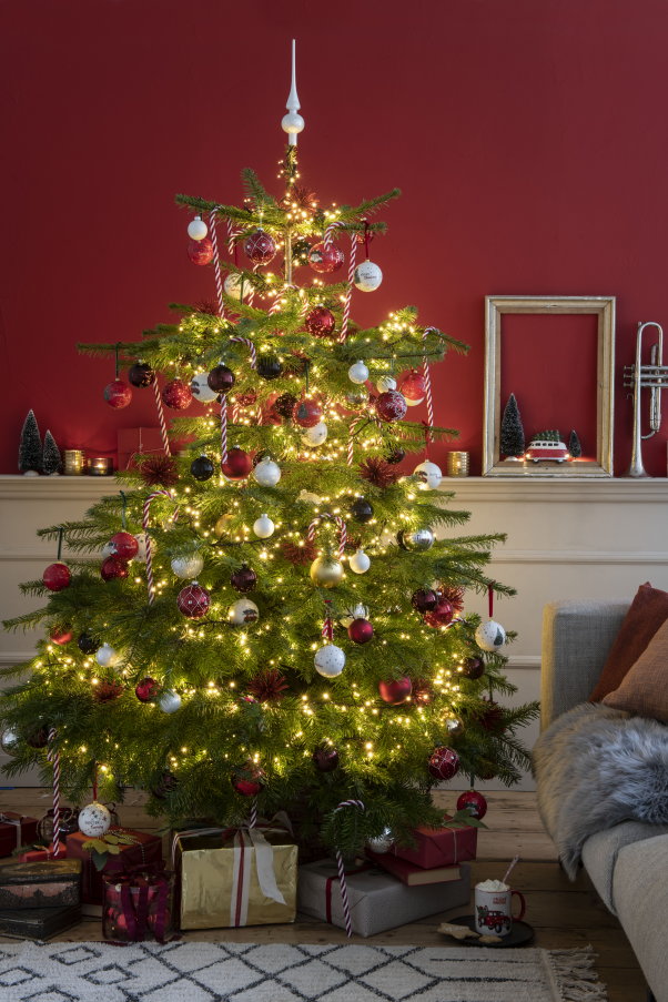 Intratuin kersttrend 2018: Coming Home met traditionele kerstkleuren en kerstdecoratie in de kerstboom (Foto Intratuin, Louis Lemaire  op DroomHome.nl)