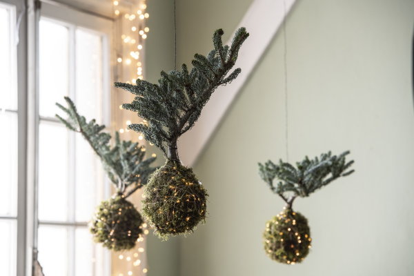 Intratuin kersttrend 2018: Go Green met pinusboompjes en takken (Foto Intratuin, Louis Lemaire  op DroomHome.nl)