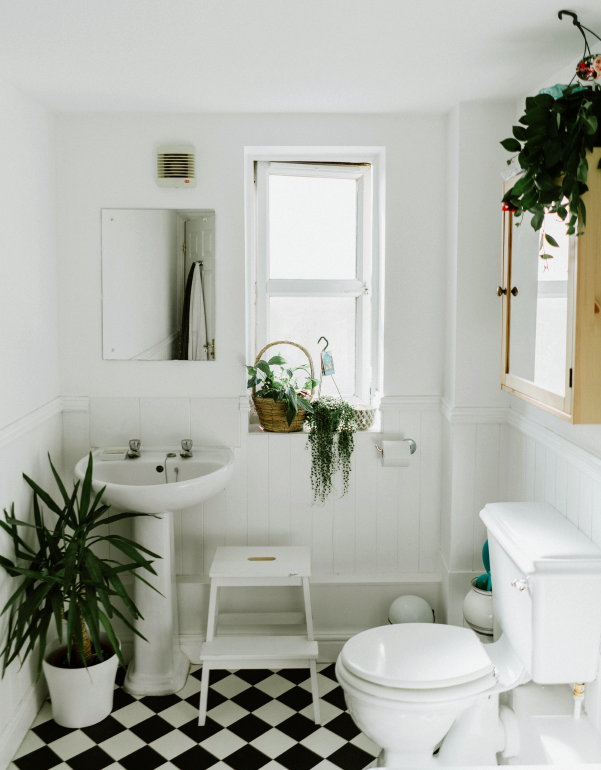Foto: Toilet planten en badkamer planten  (Foto Phil Hearing, Unsplash.com  op DroomHome.nl)