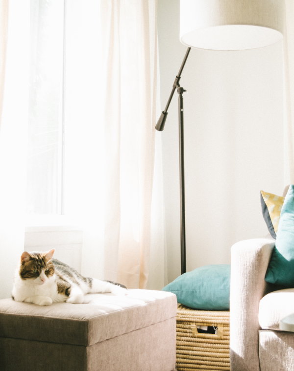 De beste zonwering voor je woning – Witte transparante gordijnen, vitrage en inbetweens in de woonkamer (Foto Nathan Fertig, Unsplash.com  op DroomHome.nl)