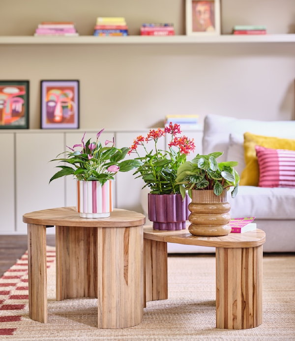 Intratuin woontrends 2026 herfst – Woontrend Arti Creations: speels, kleurrijk, bloemenprints en strepen