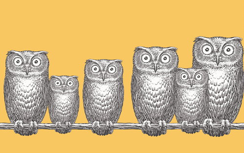 Behang Trends: Mode voor de Muur! – Cole & Son Wallpaper Fornasetti II Collectie – Cole & Son Behang, Natuurlijke Dessins als Apen, Uilen en een Muur van Bladeren   - MEER Behang ... (Foto Cole & Son Wallpaper, Perscentrum Wonen  op DroomHome.nl)