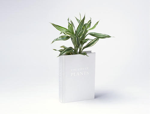 Bloempot Trends: Bloempot BOOK, Design Yoy - Planten Boek op Boekenplank! - MEER Interieur & Planten Trends ... (Foto BOOK Bloempot, Ontwerp Yoy  op DroomHome.nl)
