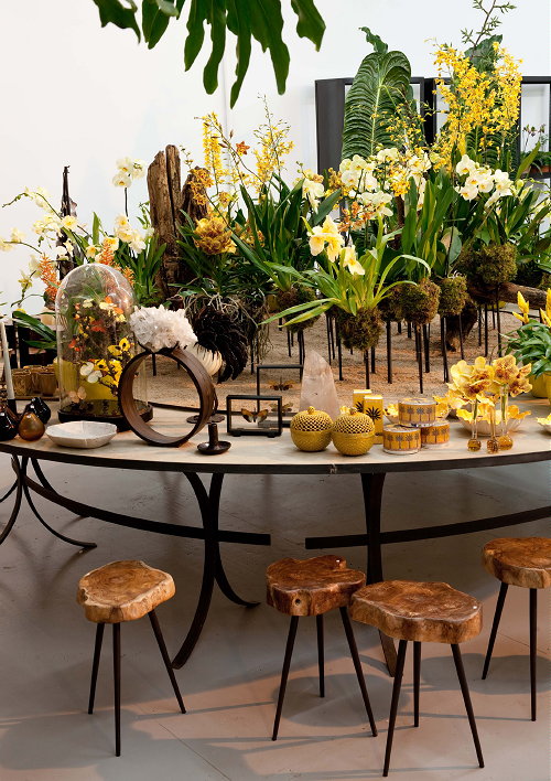 Kerst Styling met Groen! Winter Wonderland met Uitbundig Groen van The Wunderkammer! Stijlvolle Kerstdecoratie met Planten, Bloemen en Natuurschatten – Kerst Decoreren in Groen en Geel met Planten, Natuurlijke Materialen en Stolpen – MEER Kerst … (Foto James Stokes, Perscentrum Wonen  op DroomHome.nl)