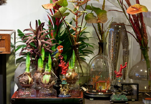 Kerst Styling met Groen! Winter Wonderland met Uitbundig Groen van The Wunderkammer! Stijlvolle Kerstdecoratie met Planten, Bloemen en Natuurschatten – Kerst Decoreren met Amaryllis en Anthurium Planten. – MEER Kerst … (Foto James Stokes, Perscentrum Wonen  op DroomHome.nl)