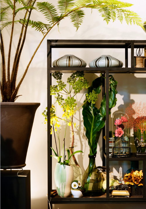 Kerst Styling met Groen! Winter Wonderland met Uitbundig Groen van The Wunderkammer! Stijlvolle Kerstdecoratie met Planten, Bloemen en Natuurschatten – Kerst Decoreren in Groen en Geel met Grote Planten, Natuurlijke Materialen en Decoratieve Vazen met Kerst Planten Arrangement – MEER Kerst … (Foto James Stokes, Perscentrum Wonen  op DroomHome.nl)