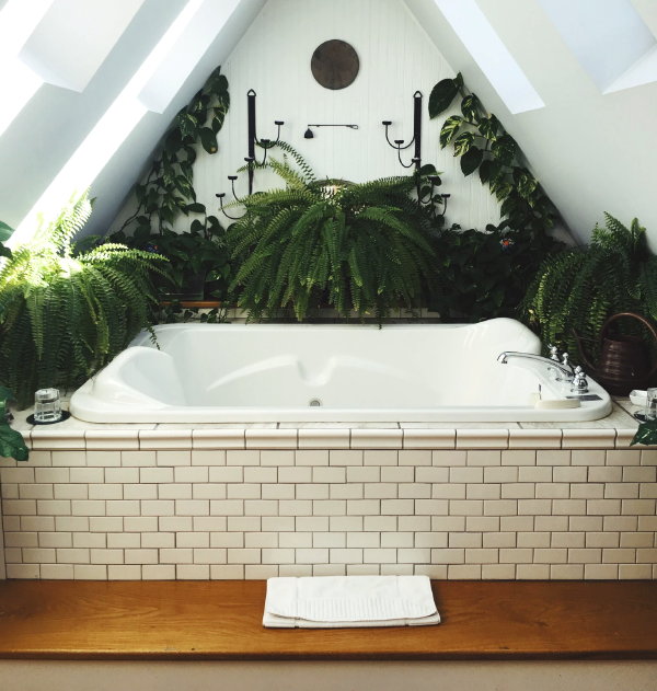 Groene badkamer inspiratie met badkamer planten (Foto: Lisa Moyneur, Unsplash  op DroomHome.nl)