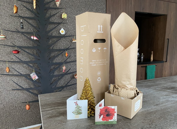 Bloomon planten bestellen – Bloomon doos uitpakken met Amaryllis in pot (Foto: DroomHome.nl)