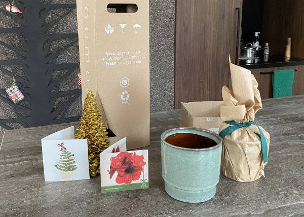 Bloomon planten bestellen – Bloomon doos uitpakken met Amaryllis in groene pot (Foto: DroomHome.nl)