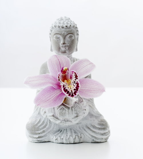 Interieur & Planten trends – Zen met Cymbidium Orchidee op Boeddha Vaas! Cymbidium Snijorchidee als Bloem annex Woonplant – MEER Planten… (Foto orchids-info.com  op DroomHome.nl)
