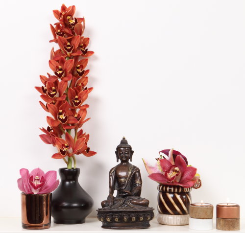 Interieur & Planten trends – Zen met Cymbidium Orchidee op Vaas & Buddha Beelden! Cymbidium Snijorchidee als Bloem annex Woonplant – MEER Planten… (Foto orchids-info.com  op DroomHome.nl)