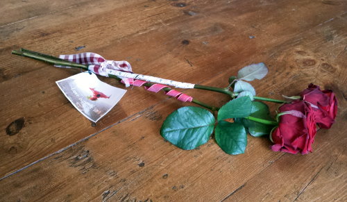 Valentijnsdag & Bloemen: Love is in the Air met de Cupidrone! Rode rozen vallen uit de Lucht! Valentijn Idee van Mooiwatbloemendoen.nl