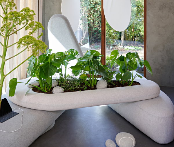 Woontrends 2023 Ode to Nature – organische vormen in meubels, accessoires, bloemen en planten (Foto: Groenbranche  op DroomHome.nl)