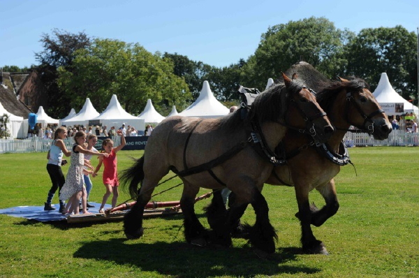 Landgoedfair Heerlijkheid Marienwaerdt met Jam en Barbecue Wedstrijd - MEER Landgoedfair... (Foto Landgoedfair Marienwaerdt   op DroomHome.nl)