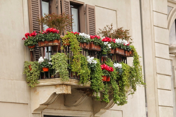 Je Balkon Opfleuren - Beginners Handleiding - Tuinieren met Balkonplanten, Groente en Kruiden Kweken met Tuingereedschap (Foto Pixabay.com  op DroomHome.nl)