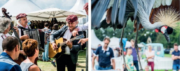 Landgoedfair Marienwaerdt 2017 – Foodfestival, Modeshows, Demonstraties als Roofvogelshows en Live Muziek. (Foto Landgoedfair Marienwaerdt  op DroomHome.nl)