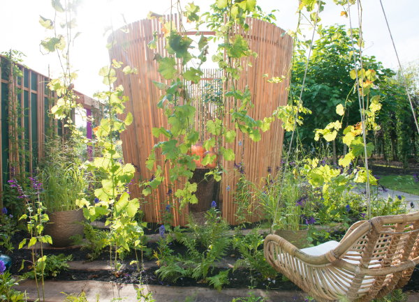 Tuintrend 2017: Harmonie – Tuinontwerp met Bloemen en Planten als Salie, Monnikskap, Blauweregen, Siergras, Ridderspoor, Gentiaan en Violen. MEER Tuin Tips… (Foto Mooiwatplantendoen.nl  op DroomHome.nl)